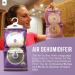 TO Wardrobe Dehumidifier Hanging Bags - 6 x 190g | Mould Prevention, Disposable Dehumidifiers for Window, Caravan, Home & Kitchen | Lavender Scent | Damp Absorber - Buy Online on GoSupps.com