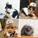 NAMSAN Pet Sailor Costume for Cats and Small Dogs - Halloween Navy Outfit with Sailor Hat and Tie Collar - Cosplay Apparel for Pets - Buy Online on GoSupps.com