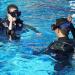ELFGO Water Sport Dive Mask Strap Cover - Ideal for Swimming and Snorkeling - Buy Online on GoSupps.com