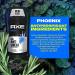 Axe Antiperspirant & Deodorant Phoenix 2.7 oz - Long-Lasting Protection - Buy Online on GoSupps.com