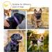 Heele Reflective Dog Collar - Soft Neoprene Padded Nylon for Small to Large Dogs - Purple - Longitudinal 40-66 cm (1 Pack) - Buy Online on GoSupps.com