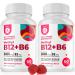 DR. MORITZ Vitamin B6 B12 Gummies for Adults & Kids - Sugar-Free 2000 mcg Methyl B-12 and 32 mg B-6 - Gluten-Free Non-GMO Vegan Formula - Raspberry Flavor Chewable VIT B Complex Vitamina
