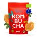 Fairy - original Kombucha tea mushroom in premium size |Success guarantee |Especially vital scoby |Organic quality for 1-5l |With Kombucha drink instructions