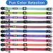 Pawtitas Reflective Cat Collar | Safety Buckle & Bell | Personalized & Customizable | Teal - Buy Online on GoSupps.com