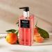 NEST Fragrances Sicilian Tangerine Liquid Hand Soap - 10 Fl Oz - Buy Online on GoSupps.com