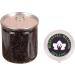 Blessfull Healing Organic Dried Craisins Cranberry 300 Gram Airtight Container (Packing May Vary) - Buy Online on GoSupps.com