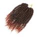10 Inch Pre-Looped Passion Twist Hair Extensions for Black Women - 8 Packs of Pre-Twisted Curly Crochet Hair - Short Crochet Passion Twist Hairstyle - Color T350 - Buy Online on GoSupps.com