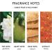 Molton Brown Comice Pear & Wild Honey Fine Liquid Hand Wash - Buy Online on GoSupps.com