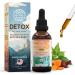 HerbEra Ohio Herbal Detox Blend - USDA Organic Extract Made in USA | Immune & Liver Support Liquid Drops | Burdock Dandelion Root Milk Thistle Sarsaparilla Turmeric | 2 fl oz