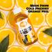 Pet Urine Odour Eliminator & Neutraliser - Natural Cold Pressed Orange Oil Enzyme Cleaner - Makes 4 Litres - Cleans Dog & Cat Smells Carpet Bins Litter Trays - Pet Deodoriser & Repellent - Buy Online on GoSupps.com