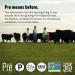 Premium 85% Lean Grass-Fed Ground Beef - 16oz | Pasture-Raised and Grass-Finished - Buy Online on GoSupps.com
