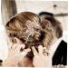 Hair Comb Princess Headband Aesthetic Hair Accessories Hair Styling Accessories Flower Clips Birthday Headpiece Wedding Hair Accessories Hair Clips Decor Headgear Leaf Bride Pearl - Buy Online on GoSupps.com