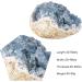 Nupuyai Natural Celestite Crystal Druse - Irregular Cluster for Reiki Healing & Decoration - X-Mall - Buy Online on GoSupps.com