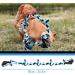 Indestructible Rope Dog Toys for Large Breeds | 90cm 5 Knots - Perfect for Aggressive Chewers - Buy Online on GoSupps.com