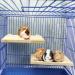 3PCS Bird Platform Perch Stand Natural Wood Budgie Parrot Toys and Accessories for Cage for Chinchilla Mouse Rat Dwarf Hamster - Box Packaging - Buy Online on GoSupps.com