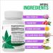 Epic Organicum Total Detox Cleanse | 10-Day Supply Supplement with Milk Thistle, Ginger Root & Yellow Dock | 60 Capsules - Buy Online on GoSupps.com