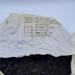Pu-erh tea 2007 Mengku Native Ancient Tree Tea Mengku Treasures 357g Raw - Buy Online on GoSupps.com
