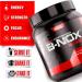 Betancourt Nutrition B-NOX Androrush Reloaded Pre-Workout and Testosterone Enhancer | Extra-Energy | Extra-Strength | Concentrated | Power Punch | 14.1 Ounce | 20 Servings - Buy Online on GoSupps.com