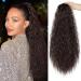 LANCAINI Ponytail Extension 20 Inch Drawstring Ponytail Hair Extensions for Women Long Curly Wavy Ponytail Natural Wavy Synthetic Hairpiece for Women Daily Use party (2/33)