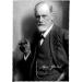 Fridolin Sigmund Freud Glasses Case Set | Hard Case & Cleaning Cloth | International Shipping Available - Buy Online on GoSupps.com