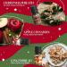 SALKING Christmas Fragrance Oils Gift Set - Perfect Scents for Soaps, Candles, and Diffusers - Buy Online on GoSupps.com