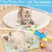 Joligaea Cat Toy Ball Throwers - 100 Colorful Felt Balls | Interactive Silent Toys for Indoor Cats - Buy Online on GoSupps.com