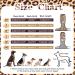 Buy Kuoser Dog Body Suit - Breathable Post-Op Recovery for Dogs & Cats | Anti-Lick e-Collar Alternative | International Shipping Available - Buy Online on GoSupps.com