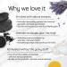 Shop SpaLife Rock the Detox Rejuvenating Volcanic Ash Facial Mask - 10 Count | International Shipping Available - Buy Online on GoSupps.com