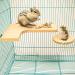 4 Pcs Hamster Wooden Platform L-shaped Large Platform Natural Wooden Parrot Round Standing Board Rat Activity Chinchilla Bird Cage Accessories for Squirrel Gerbil Chinchilla Dwarf Hamster (L) - Buy Online on GoSupps.com