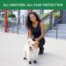 PAWZ Tiny Dog Boots - Black - Perfect Fit for Very Small Dogs | Durable & Stylish Protection - Buy Online on GoSupps.com
