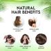 Bhringraj Powder - 100% Pure Eclipta Alba for Hair Loss Gray Hair & Skin Health | 100G Organic Herbal Remedy - Buy Online on GoSupps.com