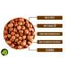 Buy Premium Quality Natural Hazelnuts 500g - 5kg | 100% Untreated & Skin On Hazelnut Kernels for International Shipping - Buy Online on GoSupps.com