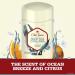 Old Spice Deep Sea Men's Antiperspirant Deodorant 2.6 oz - Ocean Elements, Invisible Solid - Buy Online on GoSupps.com