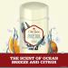Old Spice Deep Sea Invisible Solid Antiperspirant Deodorant for Men 2.6oz (Pack of 12) - Ocean Elements Scent - Buy Online on GoSupps.com