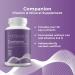 Companion Daily Multivitamin Supplement for Men & Women 50+ | Iron-Free with Vitamin K & D | 90-Day Supply | USA Made - NSF Certified - Buy Online on GoSupps.com