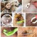 Starfa Lab Tick Removal Tool Set - 7PC Plastic Tick Levers Stainless Steel Tweezers & Comb for Dogs Cats & Humans - Buy Online on GoSupps.com