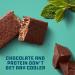 CLIF BUILDERS Chocolate Mint Protein Bars - 20g Protein - Gluten Free - 12 Count Pack - Buy Online on GoSupps.com