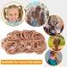 100pcs Khaki 2mm Elastic Hair Bands for Kids - Soft, Metal-Free Ponytail Holders in Brown - Buy Online on GoSupps.com