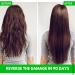 UK Made Hair Growth Shampoo & Conditioner for Men Women | Biotin, Caffeine, Argan Oil | Thickens, Strengthens, Prevents Hair Loss | 300ml - Buy Online on GoSupps.com
