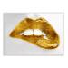 Stupell Industries Modern Yellow Fashion Lip Bite Glam Feminine Photography Designed by Sarah McGuire Wall Plaque 19 x 13 Silver