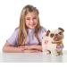 Pets Alive Poppy The Booty Shakin Pug Interactive Dancing Plush Puppy by ZURU - Fun & Entertaining Toy for Kids and Adults - Buy Online on GoSupps.com