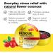 Buy Bach RESCUE PASTILLES Cranberry Flavor - Natural Stress Relief Lozenges, Vegetarian, Gluten & Sugar-Free - 35 Count - Buy Online on GoSupps.com