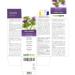 Mary Thistle Tincture 500ml - Vegan Alcohol-Free Herbal Dietary Supplement | Silybum Marianum Liquid Extract  - Buy Online on GoSupps.com