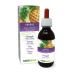 Pineapple (Ananas comosus or Ananas sativus) Fruit Stems Alcohol-Free Mother Tincture Naturalma | Liquid Extract Drops 120 ml | Food Supplement | Vegan Alcohol-free 120.00 ml (Pack of 1)