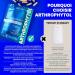 ARTHROPHYTOL G LULES I FORMULE EXCLUSIVE Harpagophytum + Ingr dient Brevet + Vitamine + Oligo- l ment I R SULTATS PROUV S I Inconfort articulaire & musculaire | 60 g lules 1 unit (Lot de 60) - Buy Online on GoSupps.com