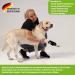 NATURE PET Dog Carpal Splint/Dog Carpal Joint Protection Splint/Dog Support Brace Carpolock Medium Grey - XL - Buy Online on GoSupps.com