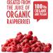 Sun & Seed Organic Wild Raspberry Vinegar 250ml - Vegan-Friendly, Gluten-Free - Made from Wild Raspberries - Vibrant, Fruity Flavor - Buy Online on GoSupps.com