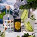Fitch & Leedes Indian Tonic Water (4x200ml) - Refreshing Tonic from South Africa | Perfect Gin Companion | Spicy Lively Elegant - Buy Online on GoSupps.com