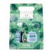 The Body Shop Pine & Divine Wild Pine Mini Gift Set Invigorating Pine Scented Holiday Skincare Kit Vegan 3 Items