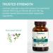 Himalaya Focused Mind: Ashwagandha Bacopa & L-Theanine for Enhanced Focus Energy & Attention - 60 Vegan Capsules Gluten Free 1 Month Supply - Buy Online on GoSupps.com